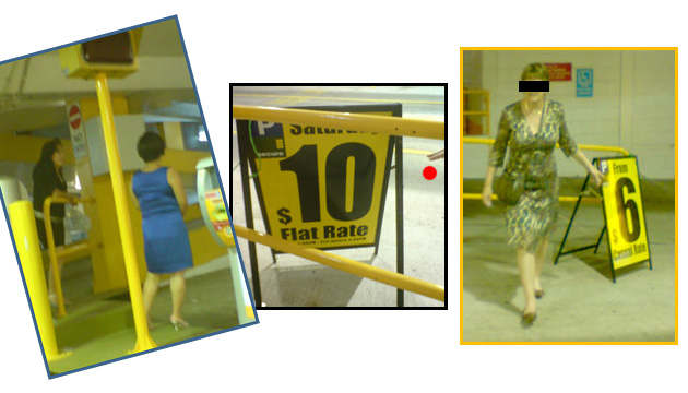 There were eight people plus me, walking around, wondering why we have been over-charged. Each was looking for clues as to why we felt misled. The photo on the left shows two ladies discussing what they thought was the price. The middle photo, where I placed the red dot, shows the pointed finders of another disgruntled customer trying to explain why he was confused. The woman in the right photo as trying to convince me and her husband that she felt that the parking was for $6, and that she should not have to pay the exorbitant fee.