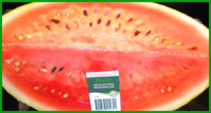 Seedless watermelon with seeds Jonar Nader